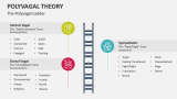 The Polyvagal Theory Ladder - Slide 3