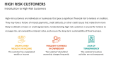 Introduction to High-Risk Customers - Slide 2