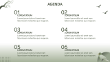 Birds Presentation - Slide 2