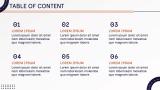 Business Consultant Profile - Slide 2