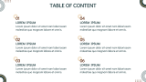 Sales Plan - Slide 2