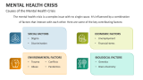 Causes of the Mental Health Crisis - Slide 6