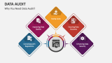 Why You Need Data Audit? - Slide 3