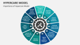 Importance of Hypercare Model - Slide 4
