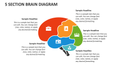 5 Section Brain Diagram - Slide