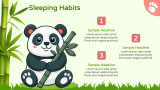 Cute Panda - Slide 8