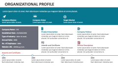Organizational Profile - Slide 1