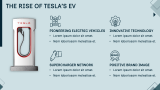 Tesla Case Study - Slide 5