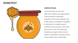 Honeypot - Slide 3