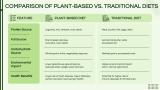 Plant-Based Nutrition Presentation - Slide 5