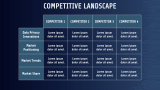 Data Privacy Software Pitch Deck - Slide 10