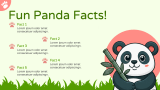 Cute Panda - Slide 9