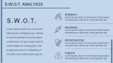 Apple Case Study - Slide 6