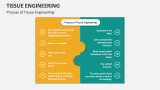 Process of Tissue Engineering - Slide 8
