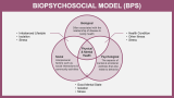 Biopsychosocial Model (BPS) - Slide 1