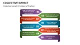 Collective Impact Principles of Practice - Slide 8