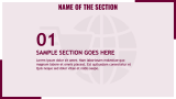 Ecommerce Business Plan - Slide 3