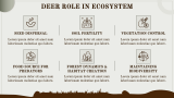 Deer Presentation - Slide 7
