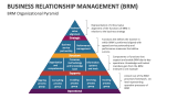 Business Relationship Management (BRM) Organizational Pyramid - Slide 4