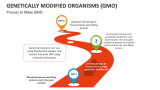 Process to Make Genetically Modified Organisms (GMO) - Slide 2