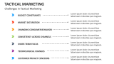 Challenges in Tactical Marketing - Slide 9
