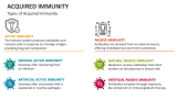 Types of Acquired Immunity - Slide 3