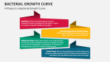 4 Phases in a Bacterial Growth Curve - Slide 7