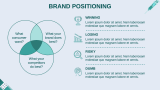 Pharma Brand Plan - Slide 7