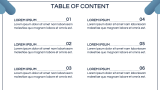 Laundry Business Plan - Slide 2
