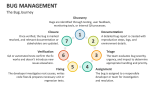 The Bug Management Journey - Slide 4