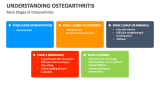 Main Stages of Osteoarthritis - Slide 4