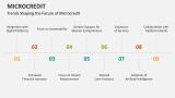 Trends Shaping the Future of Microcredit - Slide 10