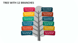 Tree with 12 Branches - Slide 1