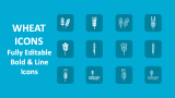 Wheat Icons - Slide 1