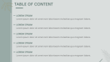 Aesthetic Business Presentation - Slide 2