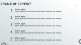 Franchise Business Plan Presentation - Slide 2