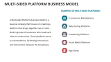 Multi-sided Platform Business Model - Slide 2