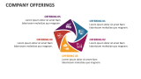 Company Offerings - Slide 8