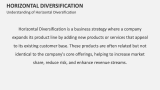 Understanding of Horizontal Diversification - Slide 2