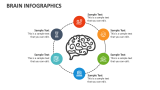 Brain Infographics - Slide 7