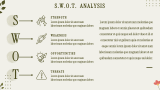 Company’s Overview - Slide 4