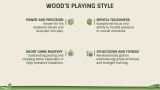 Presentation on Tiger Woods - Slide 7