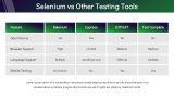 Selenium Testing - Slide 8