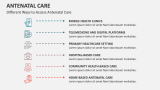 Different Ways to Access Antenatal Care - Slide 5