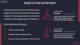 Company Introduction - Slide 4