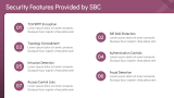 Session Border Controller (SBC) - Slide 8
