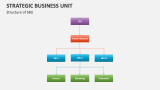 Structure of Strategic Business Unit (SBU) - Slide 5