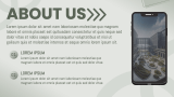 About Us - Slide 3