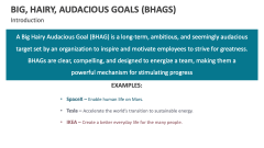 Introduction of Big, Hairy, Audacious Goals (BHAGS) - Slide 1