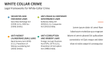 Legal Frameworks for White-Collar Crime - Slide 11
